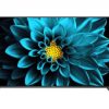 55" Flat Panel LED TV Display Rental