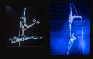 Aerial Dancer Hire